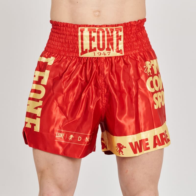 Pantalones Muay Thai Leone Flag > Envío Gratis