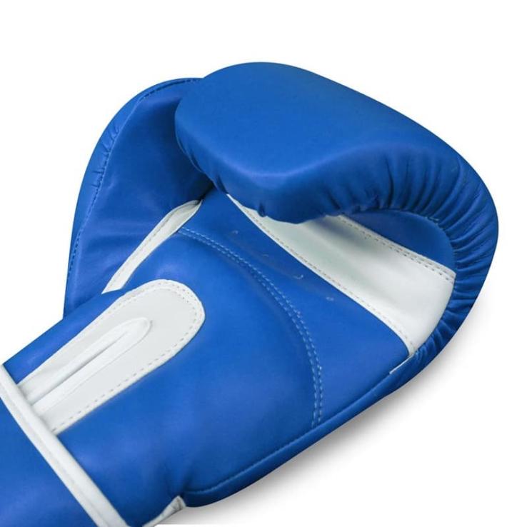 Guantes de boxeo Buddha Top Fight azul